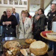 Museum Vredegoed